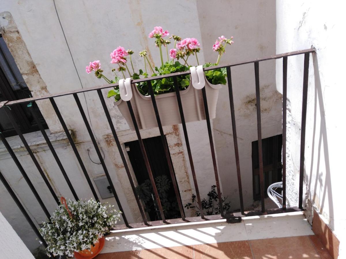 Rosa'S House Villa Conversano Bagian luar foto